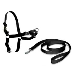 Arnés + Correa, Easy Walk, Negro, T- Grande, 66 - 91 Cm