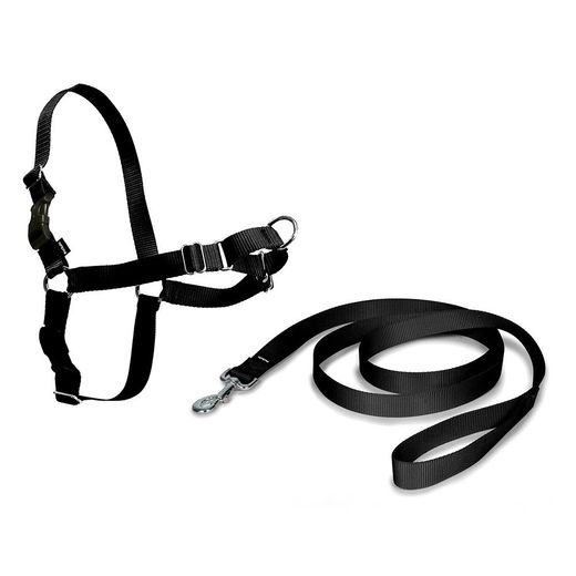 Arnés + Correa, Easy Walk, Negro, T - Mediana, 56 - 81 Cm