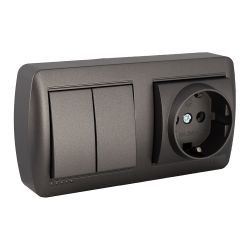 Base Fija 2P+T, 16A 250V~ + Doble Conmutador / Interruptor 10Ax 250V~. De Superficie. Serie Mural