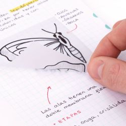 Bloc 50 Notas Adhesivas Translúcidas Removibles Transparentes 76 X 76 Mm