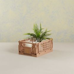 Caja Almacenaje Plegable Arena 33 X 24,5 X 15 Cm