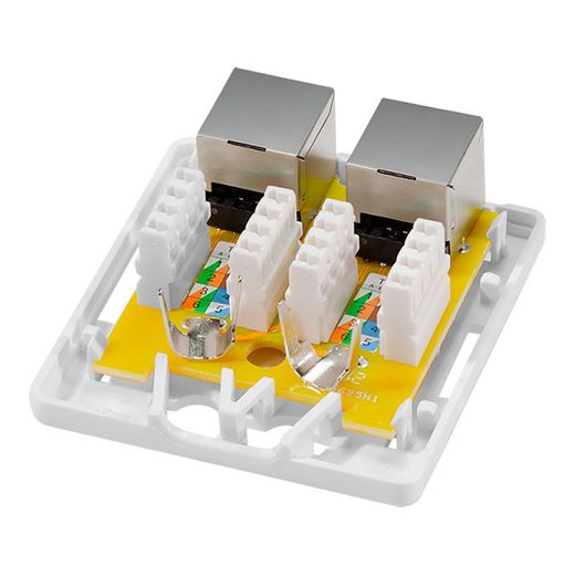 Caja De Superficie 2 Conectores Rj45 Cat. 6A Apantallado