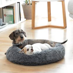 Cama Antiestrés Para Mascotas 60 Cm