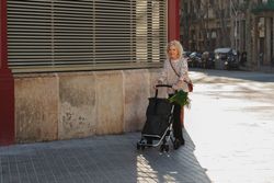 Carro de la compra PLAYMARKET Playcare Original