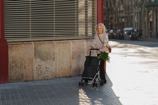 Carro de la compra PLAYMARKET Playcare Original