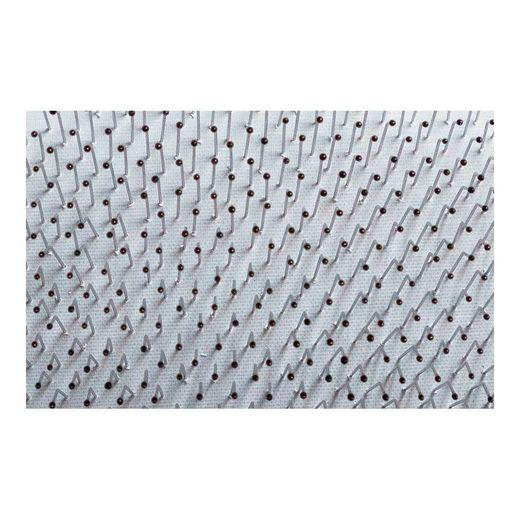 Cepillo Carda, Pequeña