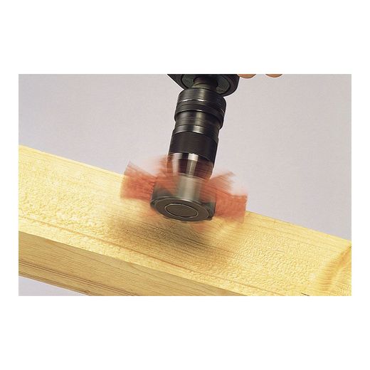 Cepillo De Abanico De Alambre De Nylon Vástago Hexagonal Ø100 X 20 Mm