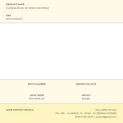 Cleaning Block Wc Verde Con Mango