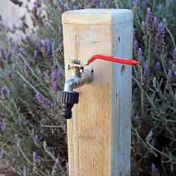 Conector Roscado Hembra ¾ Pulg