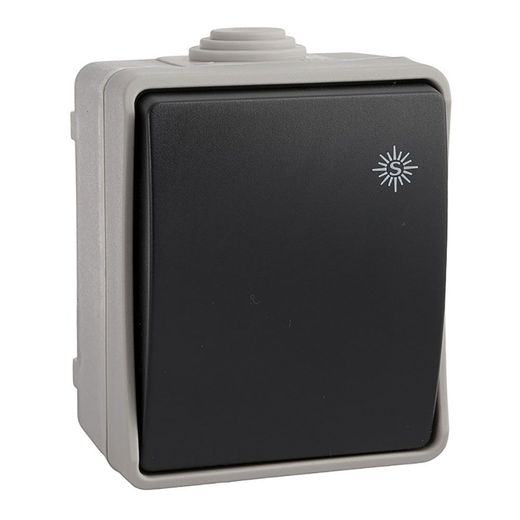 Conmutador Estanco, Ip44 16 A 250 V