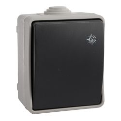 Conmutador/Interruptor Estanco, 10 Ax 250 V~Ip54