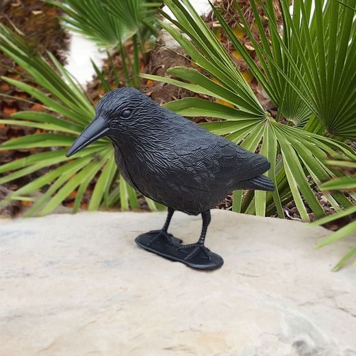 Cuervo Ahuyenta Pájaros 36 X 13 X 18 Cm