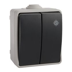 Doble Conmutador Estanco, 10 Ax 250 V~. Ip54