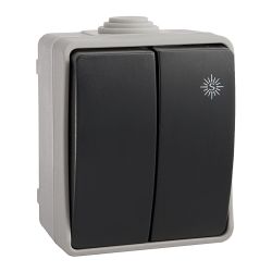 Doble Conmutador Estanco, 10 Ax 250 V~. Ip54