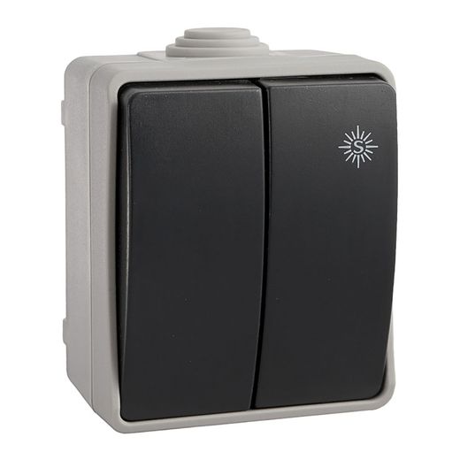 Doble Conmutador Estanco, 10 Ax 250 V~. Ip54