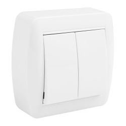Doble Conmutador Superficie Mural 74 X 72 X 28 Mm