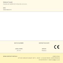 Figura Led 'Home' E27 A Pilas 34 X 16 X 8 Cm