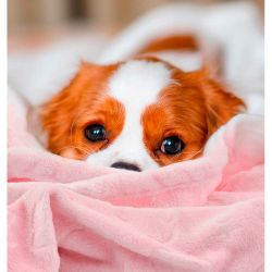 Manta Rosa Con Nubes Y Estrellas, 100 X 70 Cm