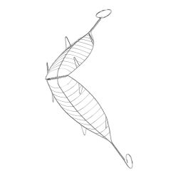 Parrilla Besuguera Inoxidable. 13,5X54Cm Sauvic