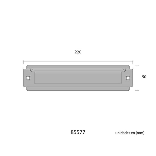 Placa De Cartas Para Puerta De  Latón Pulido 21,5 X 5 Cm