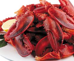 Rompemarisco/Cascanueces Cromado