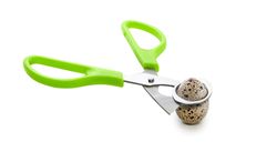 Tijeras Para Huevo De Codorniz