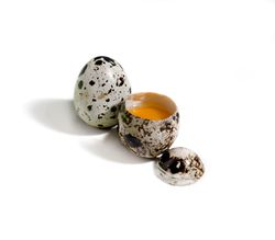 Tijeras Para Huevo De Codorniz