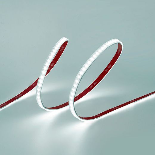 Tira Led Adhesiva 6.400 K 8 W/M 100 Lm/W 24 V Dc Ip65,  5 M X 10 Mm Luz Fria